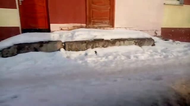 Бывший оршанец! Поездка на автобусе 