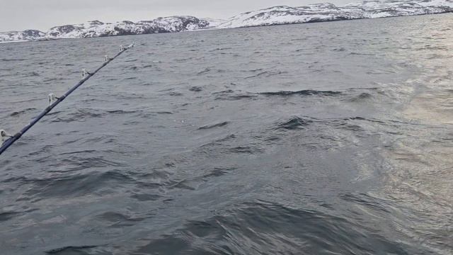 Путешествие по Кольскому. Второй день вторая серия. Териберка: морская рыбалка, киты, баня.