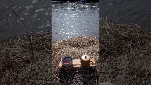 Весенний шен.