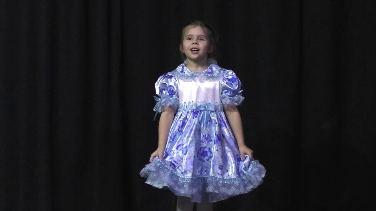 Вечер чтецов, 26.01.2019.