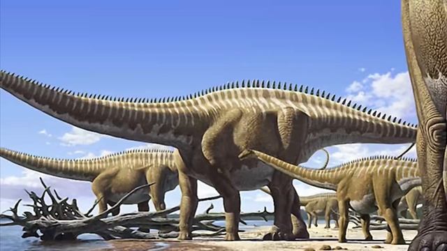 зауроподы большие динозавры 🦕