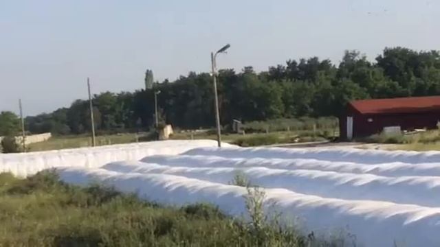 Люцернов сенаж и сенаж от тритикале Murska оборудване