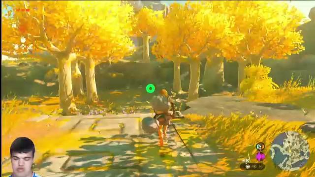 The Legend Of Zelda: Tears Of The Kindom - Исследование Хайрула