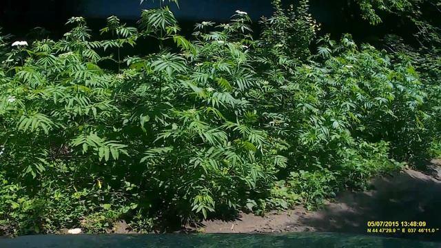 Как я застрял в грязи....