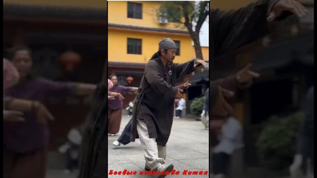 Боевые искусства Китая