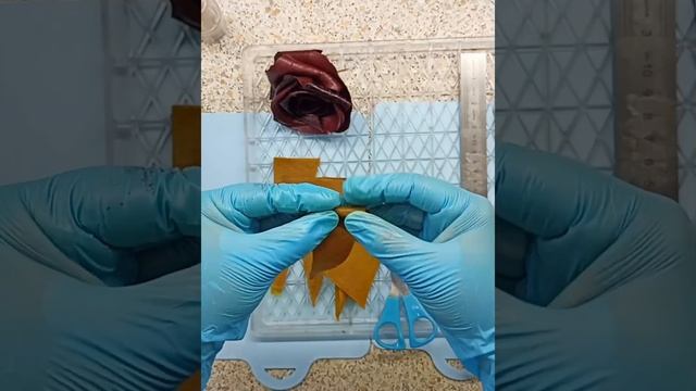 Розы из пастилы. #розаизпастилы#пастила#пастилабезсахара