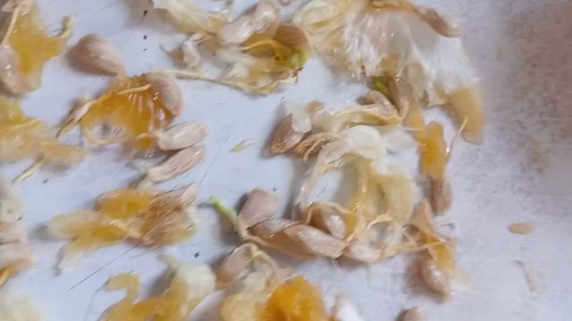 Грейп хочет чтоб его посадили