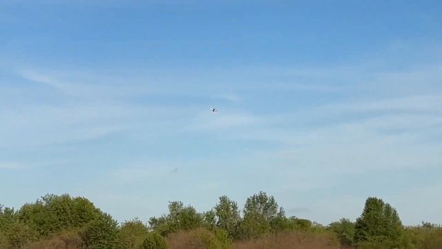 Enjoying The E-Flite Habu SS 50mm EDF Jet!