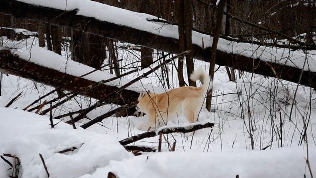 4a8915c02e733c105b6b2453af3b279e