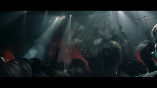 Dolphin -  собака (live 2013)