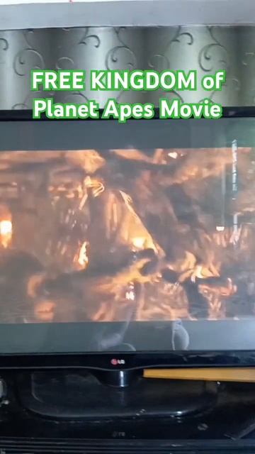 KINGDOM OF PLANET APES 2024 #movie #movies #2024 #film