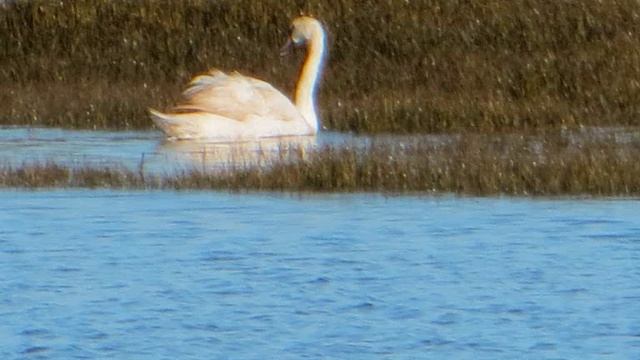 763d924d8865a669ed454e2b1c4facfd