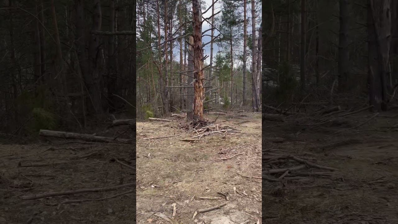 Природный апокалипсис. Стихия и человечество.