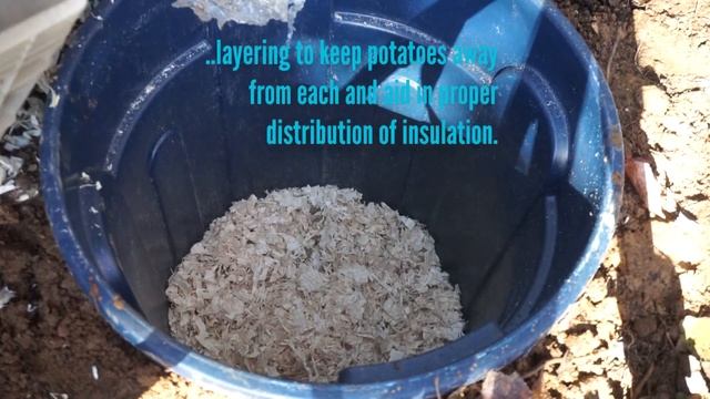 Cheap DIY Garbage Can Root Cellar And Cold Storage Project