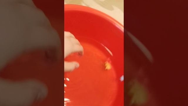 0ab40db67566ac1dfe96ae6e34977688