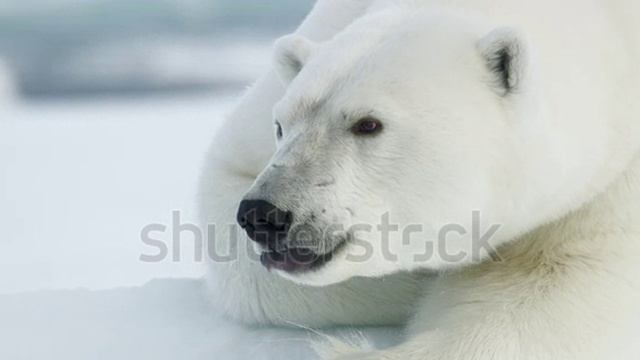 D1d83923d07921f87d9582b9b1535e90