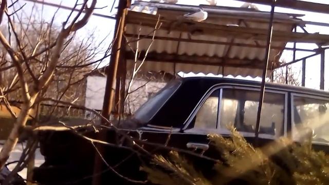 пропаи и не заболеют