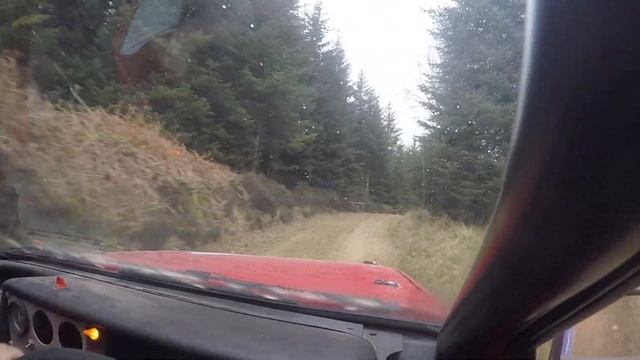 Speyside Rally 2019 SS8 Balloch Car 86 VW Polo Jacob Harlington