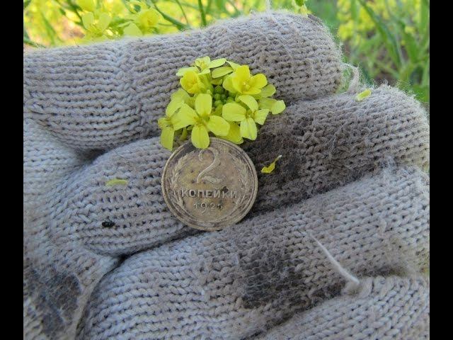 Утренняя прогулка с металлоискателем по новым местам за монетами! Сезон 2 Выпуск № 10