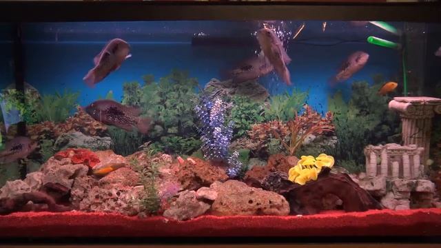 успокаивающая и расслабляющая музыка