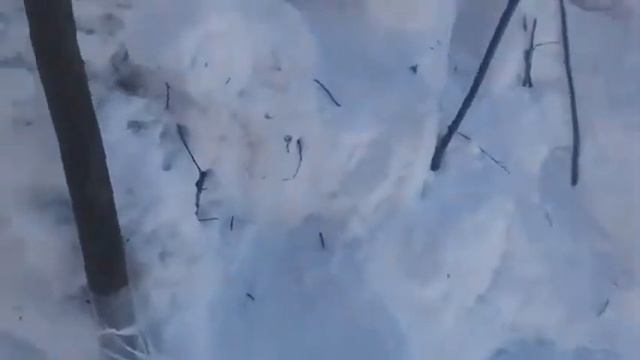 Снеговик огонь.#100КЗАСНЕГОВИКА #slivkishow