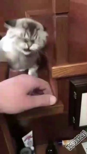 5925436845b304dc33a9565059e73159