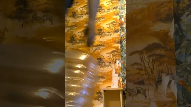 5f1598b84c13ea061d8994b08d04cb62