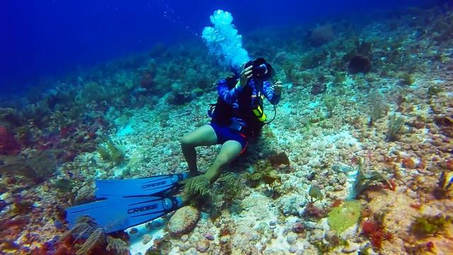 Scuba Diving In Cozumel, Mexico . GoPRO Hero 3+ Black.