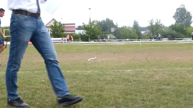 Жакус с Братского Взморья, проверка поведения (э. Е. Пудеев)