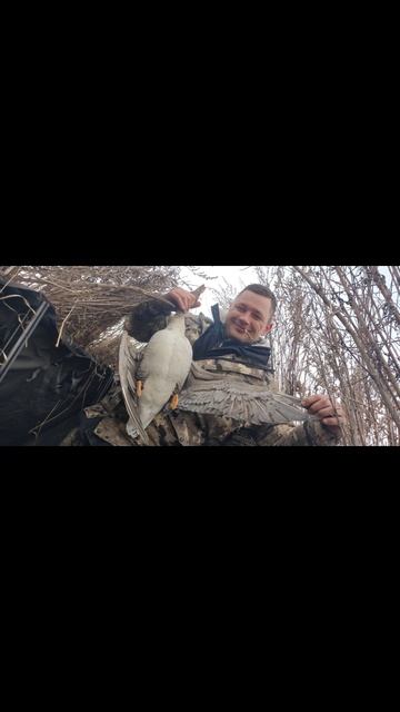 F331bc68955123b20621dc38a2478be8