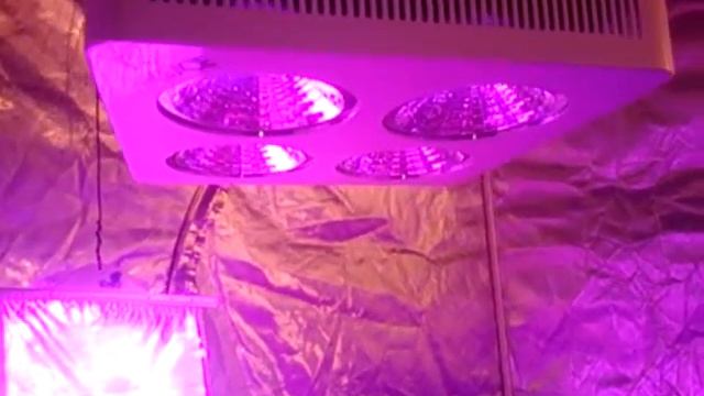 LA's Quick First Peek At The RAYSACE 4000 Led Light.