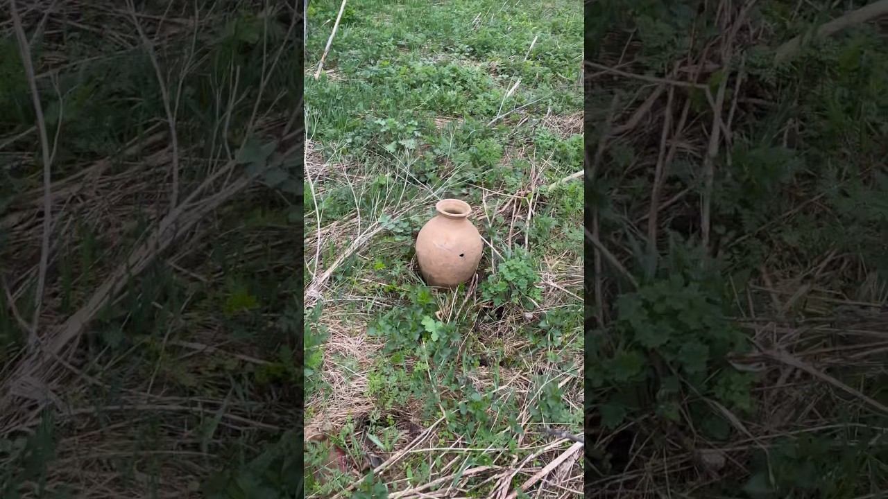 находка в траве #metaldetecting #коп #coin #природа