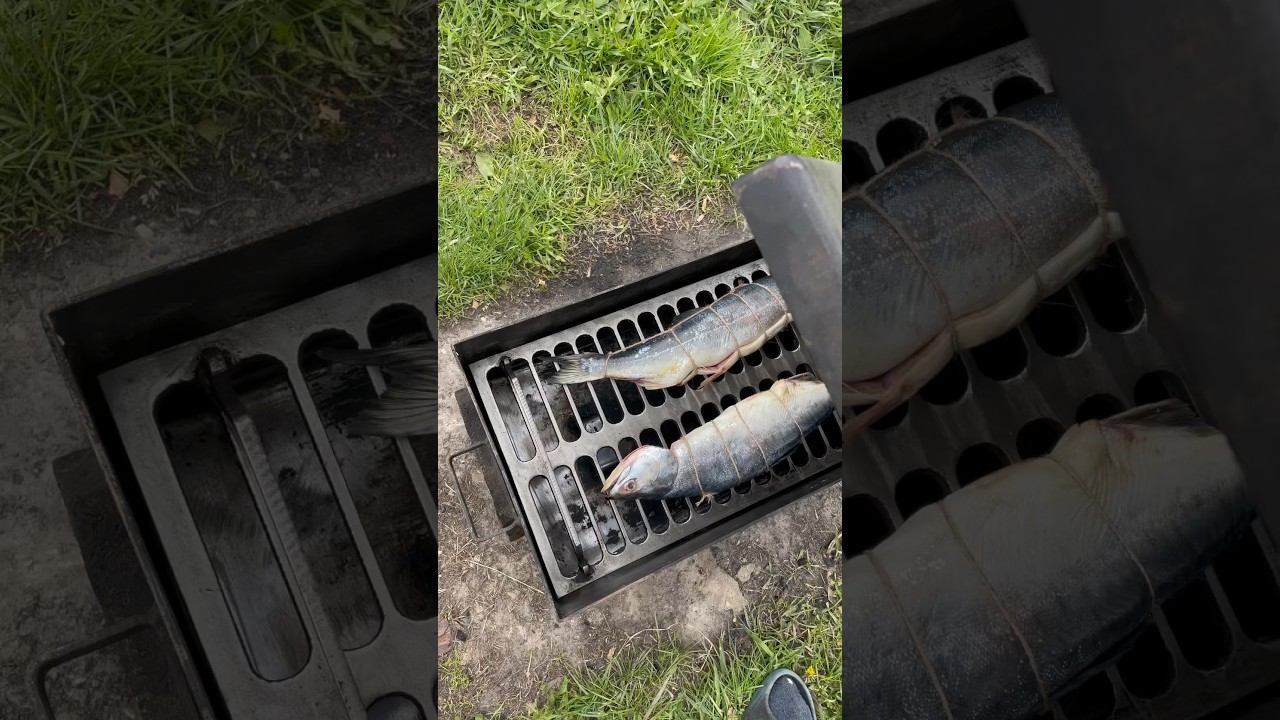 Горбуша горячего копчения #еда #ялюблюготовить #коптим