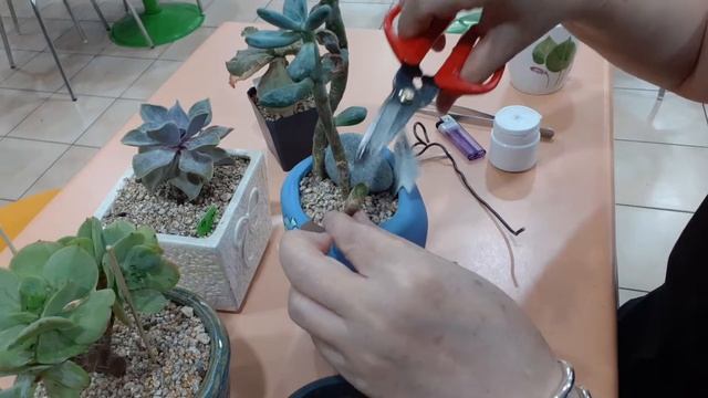 E520270d5ddec015d831701840526054