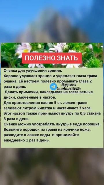 очанка для улучшения зрения #народнаямедицина #зож #здоровье #медицина #народныерецепты #здоров