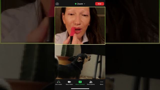 Jenna Lyons's Zoom Ready Makeup Looks