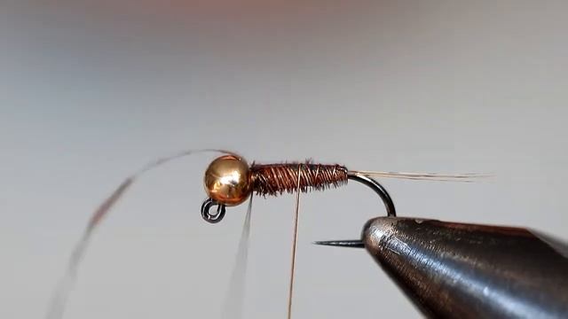 Sztuczna mucha - Pheasant tail v. Italian