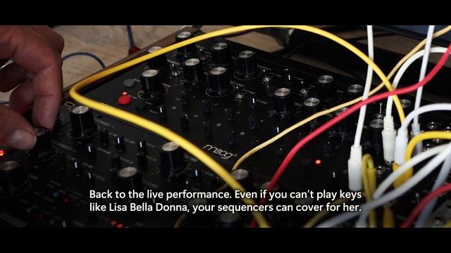 Moog Sound Studio | Labyrinth, DFAM, Subharmonicon & Mother-32