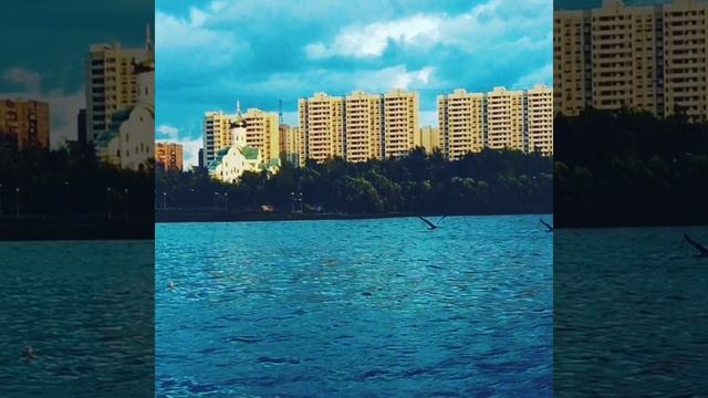 🌼Полевые цветы на окошке🌼