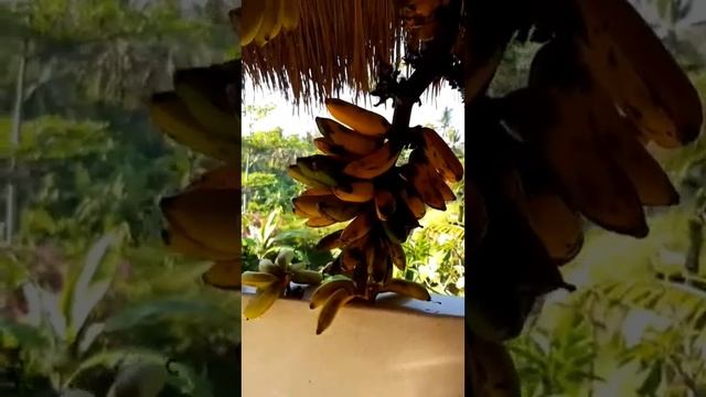 9e30552119c0e4ad13ba9f0fdb905cc5