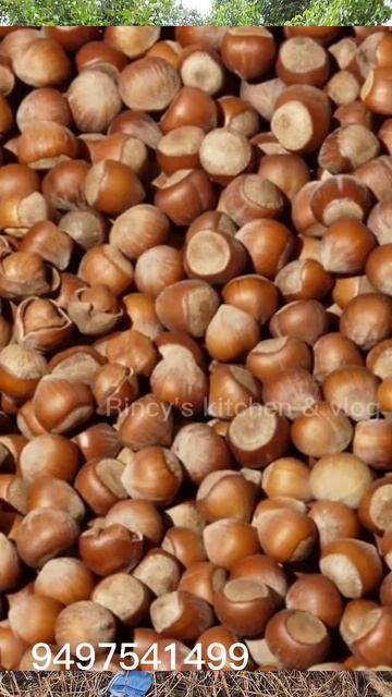 Macadamia/rincykitchen.