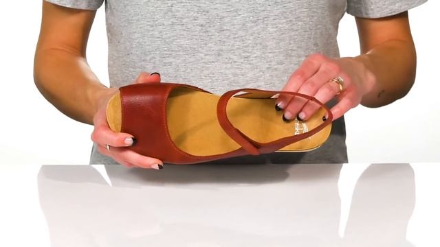 958161b40057d8c06500d5404e243cd9