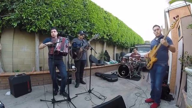 Chino Piloto - Los Juniors De California [En Vivo]