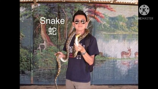 Learning Chinese Phuket | Uncle Don | Mandarin & Cantonese - Ep3
