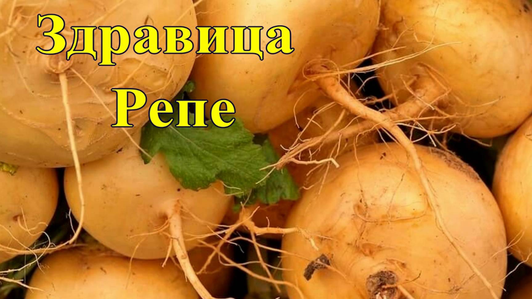 Здравица Репе