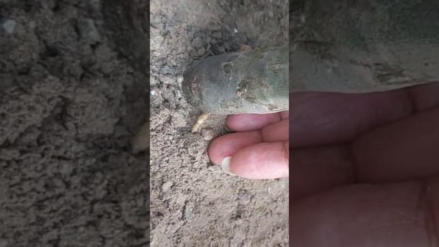 50291311d86348dc4304518c7dced3f7