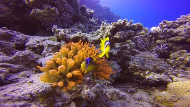 A05a70850882ac4deac8294e2dad9664