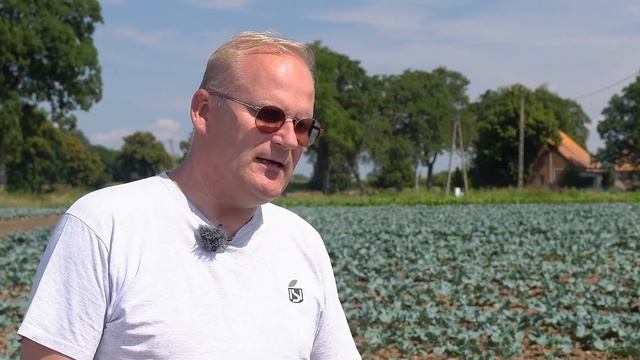 #kapustyonline - Zaprawianie Rozsady Warzyw Kapustnych