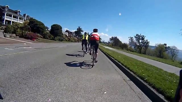 CATS #2 - Brisk Plus - Magnolia Descent
