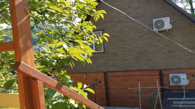 50+ Сочи. Горное Лоо. Утро. +25°C. 21. 05.2024г.©